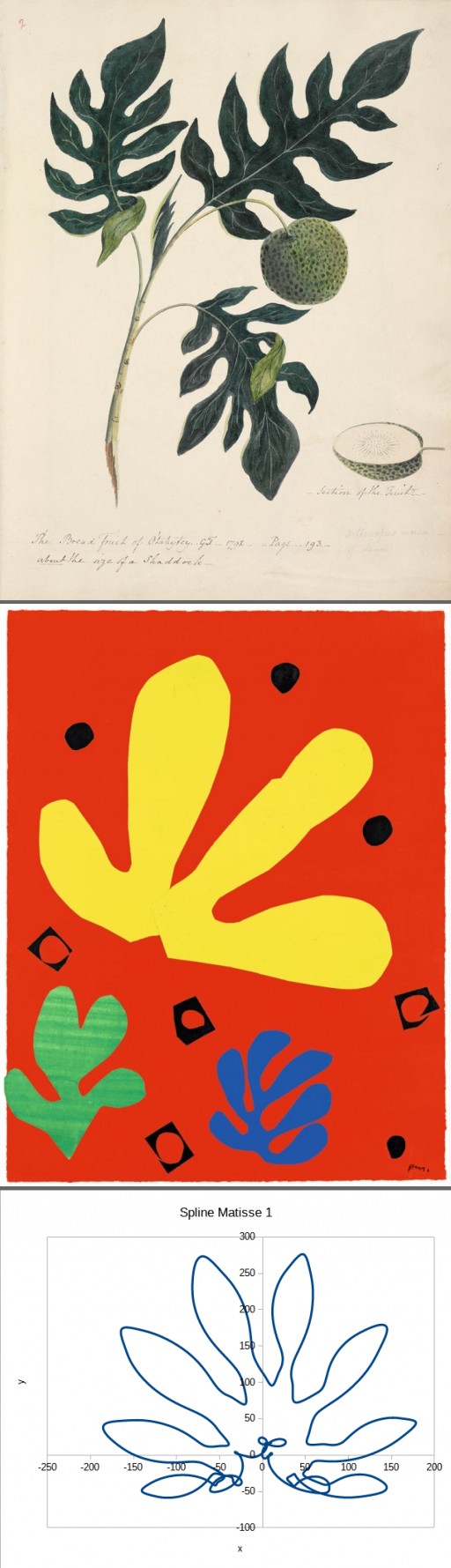 Image article, Branche, feuilles et fruit de l’arbre à pain (mediatheque-polynesie.org)
Henri Matisse, élémen