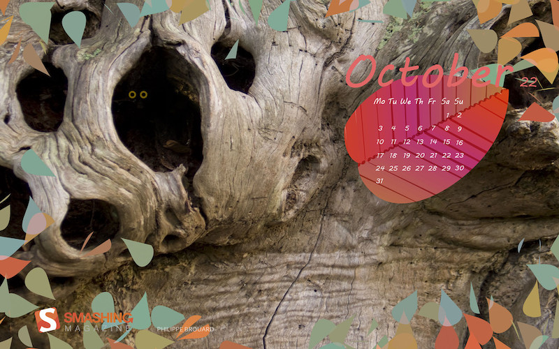 Image article, Old tree, Smashing Magazine october wallpaper